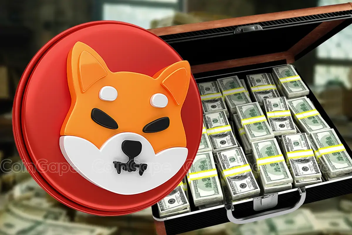 Will Shiba Inu Price Rally Make You a Millionaire in 2025?