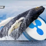 XRP News: Whales Buy 120M Coins As Ex-Ripple Hints At Good News Ahead