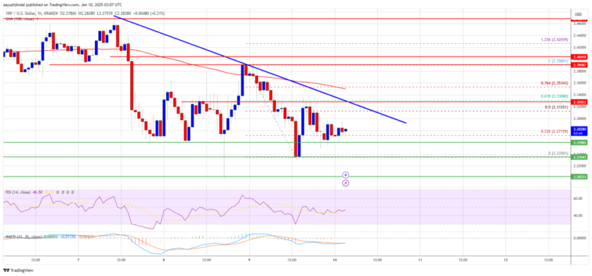 XRP Price Stays Steady: Will Consolidation End Soon?