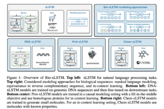 Bio-xLSTM: Efficient Generative Modeling, Representation Learning, and In-Context Adaptation for Biological and Chemical Sequences