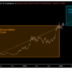 Bitcoin Market Performance Shows Signs of Distribution Cycle, Analyst Reveals