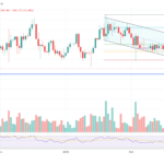 Bitwise CIO: Crypto Looks Like July 2024—Here’s What Happened Next