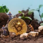 Texas Bitcoin Mining Hit by Cold Weather and Power Cuts