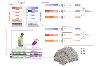 A Unified Acoustic-to-Speech-to-Language Embedding Space Captures the Neural Basis of Natural Language Processing in Everyday Conversations