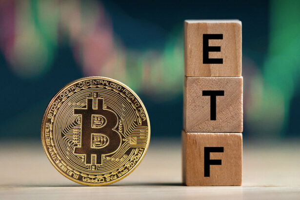 Bitcoin ETF Investors Stay Strong as BTC Drops 25% – Will the Trend Hold?