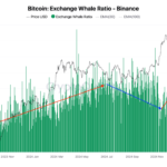 Bitcoin Shows Signs of Recovery—Is the Whale Sell-Off Finally Over?