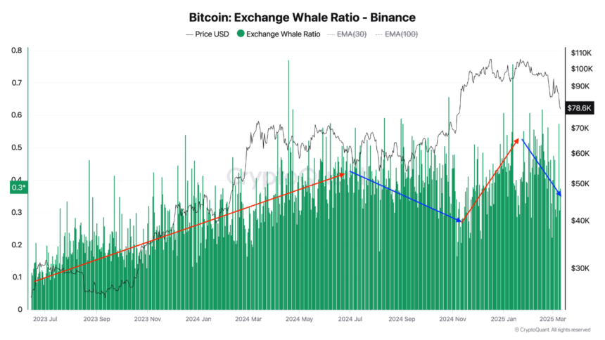 Bitcoin Shows Signs of Recovery—Is the Whale Sell-Off Finally Over?