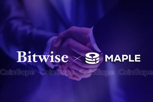 Bitwise Ventures Into DeFi With Maple Finance Partnership