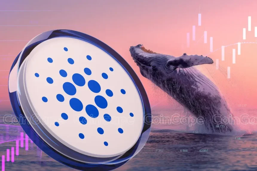 Can Cardano Price Reach $1 As Whales Gobble 130 Million ADA?