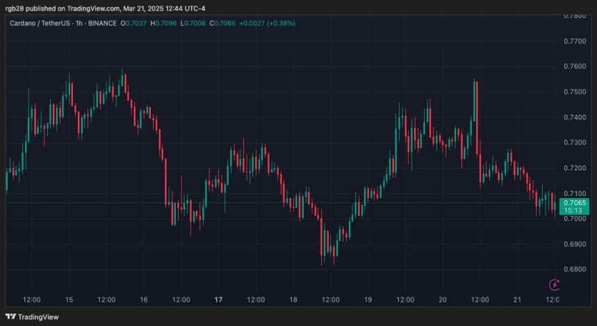 Can Cardano Reclaim $1? Analyst Says ADA Price Must Hold This Crucial Level