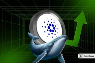 Cardano Price Eyes $0.85 as Whales Scoop Up 240 Million ADA