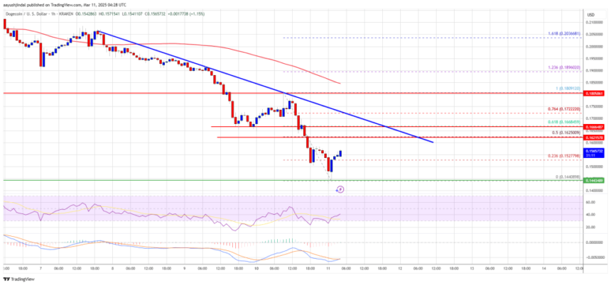 Dogecoin (DOGE) Under Pressure—Continues Sliding Into Bear Territory