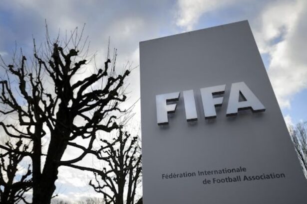 FIFA Plans ‘FIFA Coin’ to Revolutionize Digital Fan Experience