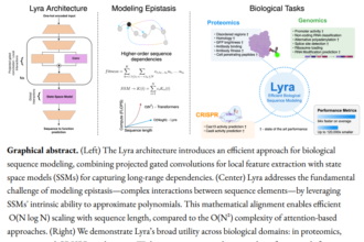 Lyra: A Computationally Efficient Subquadratic Architecture for Biological Sequence Modeling