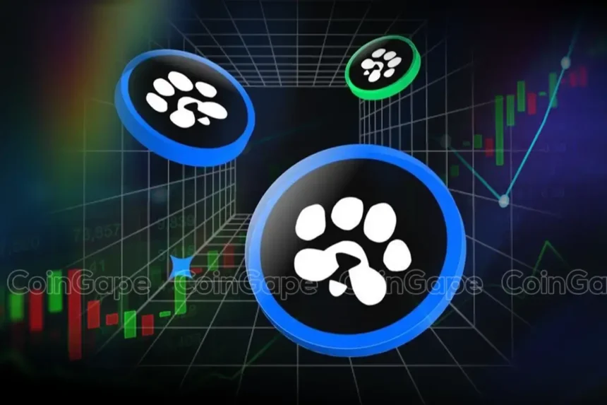 PAWS Coin Airdrop 2025: Everything You Need to Know Before March 18