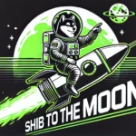 Shiba Inu News: Top Expert Unveils Plan to Propel SHIB to the Moon