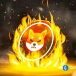 Shiba Inu Price Eyes 81% Upside With SHIB Burn Rate Rising