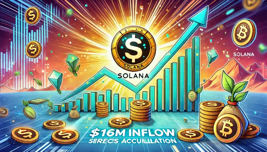 Solana’s Weekly Revenue Crashes 93% – Should SOL Investors Worry?