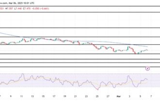 UNI Price Recovery Gains Traction – Will It Smash Through Resistance?