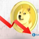 Why Is Dogecoin Price Crashing 5% Today?