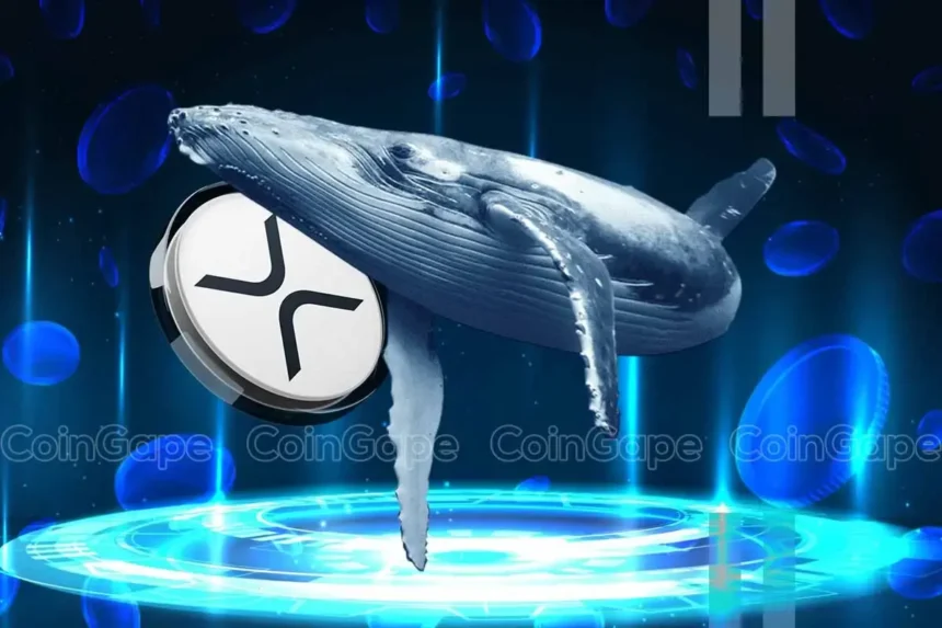 XRP News: Ripple Whale Moves $367M Amid Market Crash, What Next?