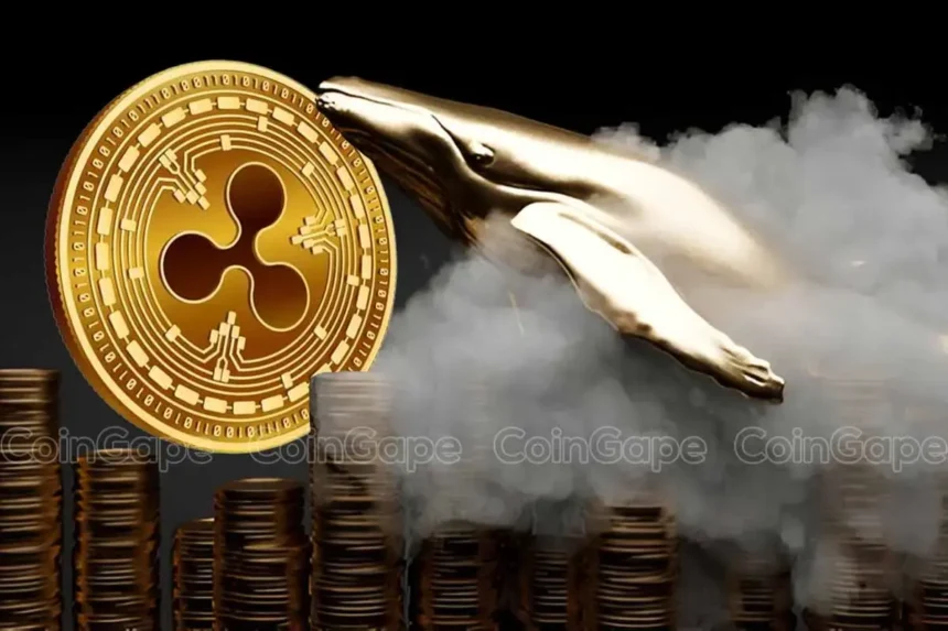 XRP News: Ripple Whales Move Over $5 Bln Coins, What’s Happening?