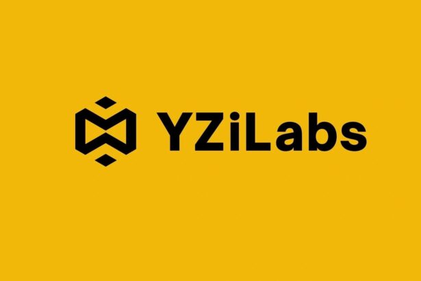 YZi Labs Eyes MVP for Time Tokenization on BNB/BSC