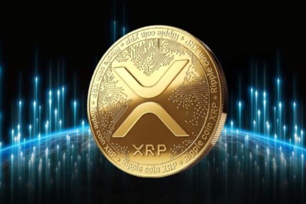 Analysts Predict XRP Price to Hit $6 as Wave 2 Correction Nears End