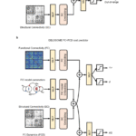 Biophysical Brain Models Get a 2000× Speed Boost: Researchers from NUS, UPenn, and UPF Introduce DELSSOME to Replace Numerical Integration with Deep Learning Without Sacrificing Accuracy