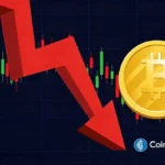 Bitcoin Price Today: This 12 Million BTC Signal Could Block $100,000 Rally