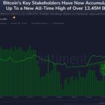 Bitcoin’s Largest Holders Are Stacking Again — What It Means For The Market