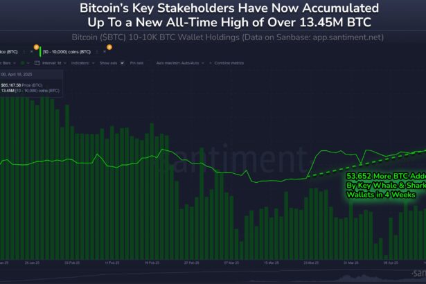 Bitcoin’s Largest Holders Are Stacking Again — What It Means For The Market