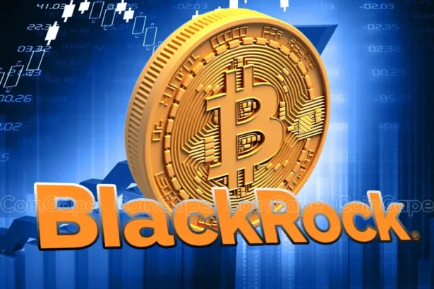 BlackRock Bitcoin ETF IBIT Records $1 Bln Inflows