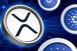 Cardano Lace Wallet Integrates XRP, Fueling Potential Price Breakout Move