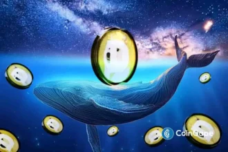 DOGE Whale Moves 478M Coins As Analyst Predicts Dogecoin Price Breakout “Within Hours”