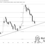 Dogecoin Gears Up For A Breakout To $0.29: Can Bulls Hold Key Support?
