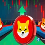 Expert Explains Why SHIB is Too Strong to Fail: Will Shiba Inu Price 3x?