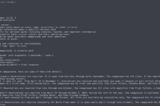 How to Create a Custom Model Context Protocol (MCP) Client Using Gemini