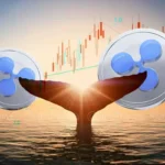 Ripple Whale Moves $355 Million To Binance, XRP Price To Dip Further?