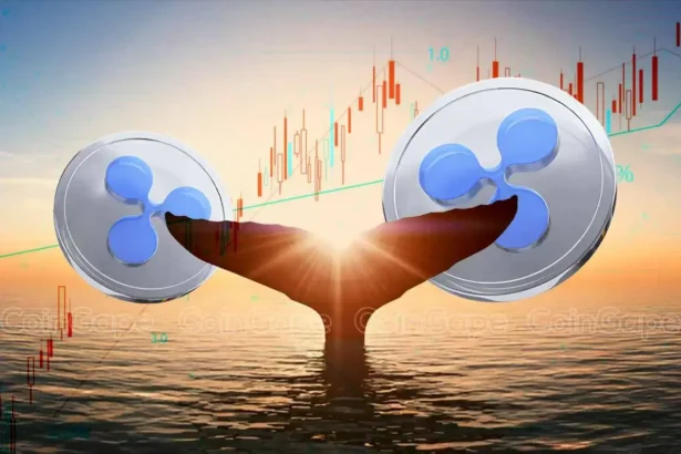 Ripple Whale Moves $355 Million To Binance, XRP Price To Dip Further?