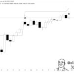 Solana Short-Term Indicator Signals Potential Risk – Reversal Or Pause?
