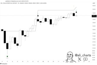 Solana Short-Term Indicator Signals Potential Risk – Reversal Or Pause?