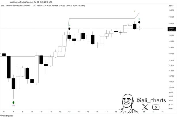 Solana Short-Term Indicator Signals Potential Risk – Reversal Or Pause?