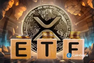 Why Is XRP Price Falling After ETF Hype?