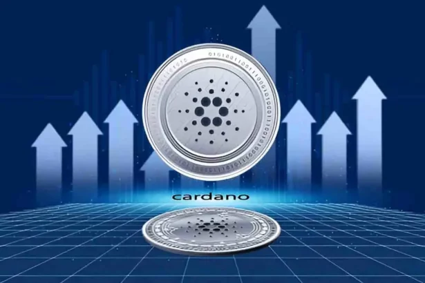 Will Cardano Price Respond With Rally as $20M ADA Leaves Exchanges?