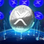 XRP Case Resolution Near? Expert Warns XRP Investors Against Unrealistic Hopes