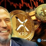 XRP Lawyer Hails Ripple CEO, Reveals What Attracts Him To Bitcoin & Crypto