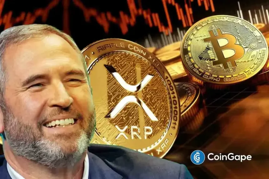 XRP Lawyer Hails Ripple CEO, Reveals What Attracts Him To Bitcoin & Crypto