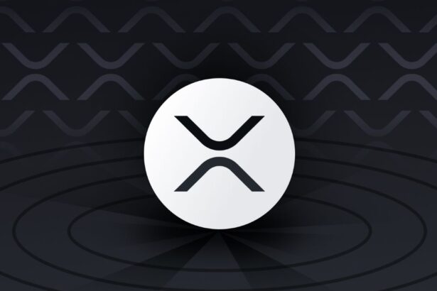 XRP Ledger Foundation Flags JavaScript Security Risk—Update Required