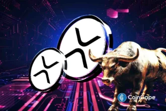 XRP Price History Signals July As The Next Bullish Month